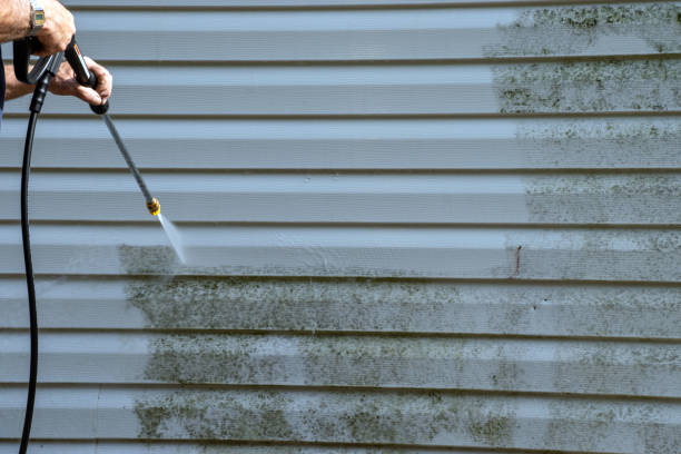 Best Furniture Removal  in Elmira, NY