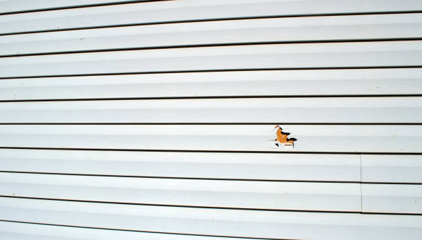 Best Shed Removal  in Elmira, NY