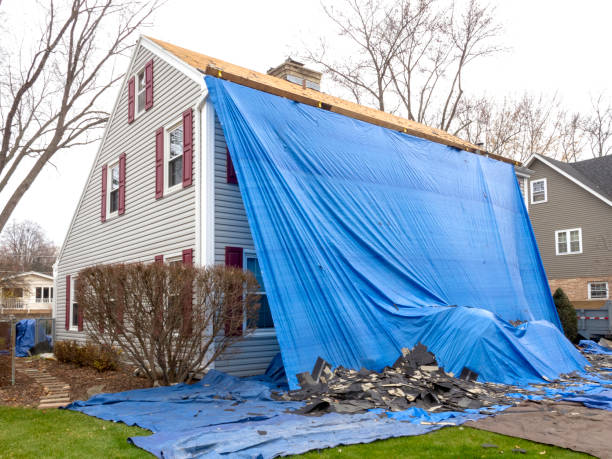 Best Yard Waste Removal  in Elmira, NY